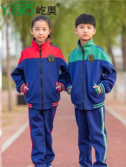 屹奥春秋装小学生学生服装