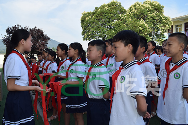 内乡湍东镇龙头中心小学校服款式案例